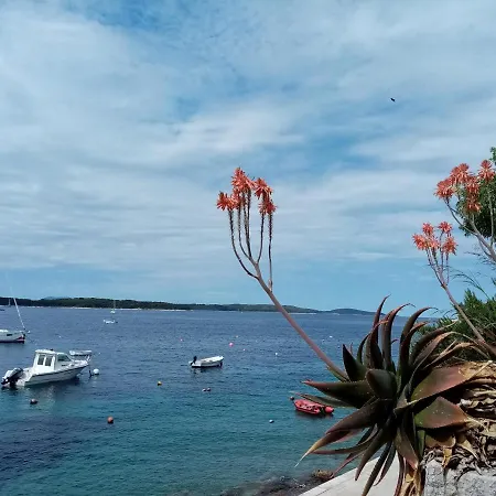 Anita Hure Apartament