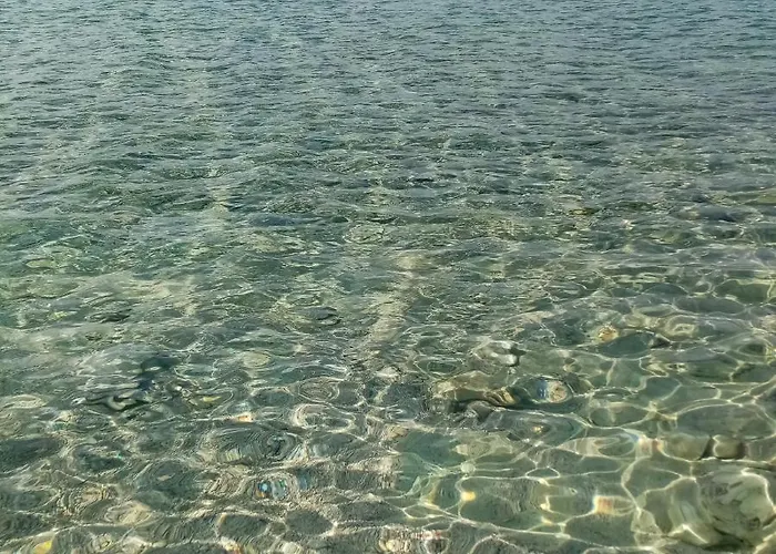 Anita Hure 아파트