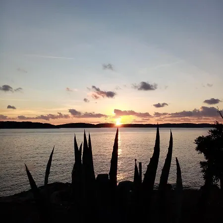 Anita Hure Апартаменти *