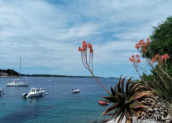 Anita Hure Apartment