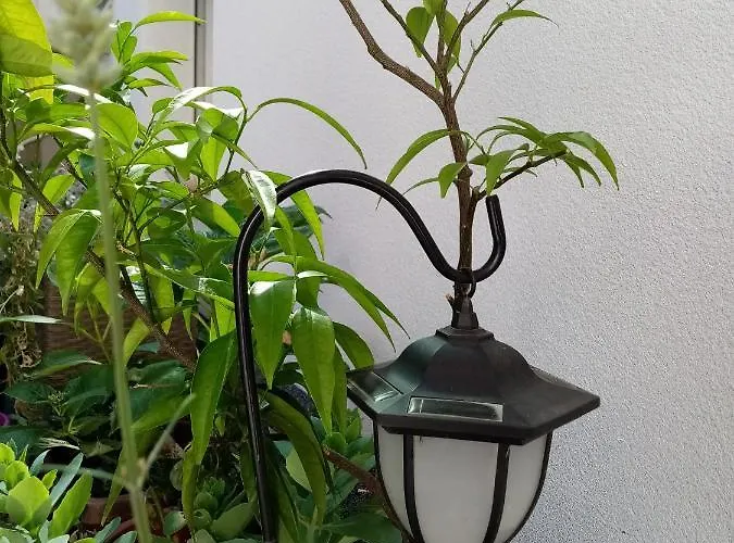 Apartment Anita Hure Hvar Town